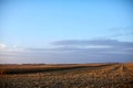 Vast flat open maize fields in evening light