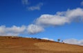 Vast grassland scenery