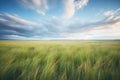 vast grassland with storm clouds gathering above