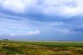 The vast grassland under the blue sky