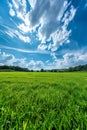 Grassy Field Under Blue Sky With Clouds Royalty Free Stock Photo