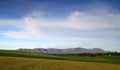 Vast green vineyards