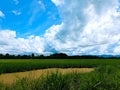 Vast greenery of field surrounded by hills