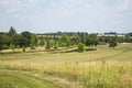 Vast greenery Landscape with a pond