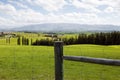 A vast land full of green and fresh grass Royalty Free Stock Photo