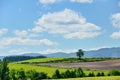 Vast landscape of Biei, Hokkaido.