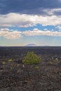 Vast landscape of Craters of the Moon National Monument and Preserve near Arco, Idaho Royalty Free Stock Photo