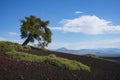 Vast landscape of Craters of the Moon National Monument and Preserve near Arco, Idaho Royalty Free Stock Photo