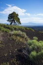 Vast landscape of Craters of the Moon National Monument and Preserve near Arco, Idaho Royalty Free Stock Photo