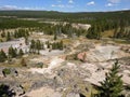 Vast landscape with trees and pools at Yellowstone National Park