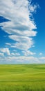 Vast Landscape: Real Photos Of Prairie Scenery Stretching To Horizon