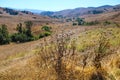 Vast mountain landscape with green trees, blue sky, and clouds at Chino Hills State Park