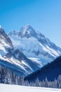 Vast mountain range with glistening snow, surrounded by lush forest and clear blue sky