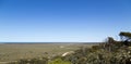 Vast Nullabor Plains in Australia Royalty Free Stock Photo