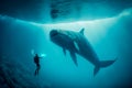 In the vast ocean, a diver shares an enchanting encounter with a majestic whale, a meeting of two worlds Royalty Free Stock Photo