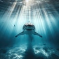 Great White shark swimming the ocean