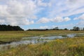 A vast prairie filled with wildflowers and grasses surrounding a pond leading to the woods on a summer day in Illinois Royalty Free Stock Photo