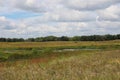 A vast prairie filled with wildflowers and grasses surrounding a pond with a line of dense trees in the background on a summer day Royalty Free Stock Photo