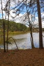 The vast rippling waters of a lake in the park surrounded by bare winter trees and lush green trees and plants with blue sky