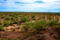 Central Sonora Desert Arizona