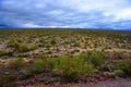 Central Sonora Desert Arizona