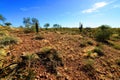 Central Sonora Desert Arizona