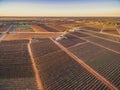 Vast spaces covered by vineyards in South Australia