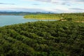 Vast Vietnam coffee field