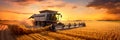 vast wheat field at sunset, with farmers using a combine harvester to gather ripe wheat. Generative AI