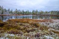 Michigan Wetlands Winter Wilderness Landscape Royalty Free Stock Photo