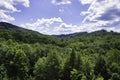 Vast woodlands in the Appalachen mountains. Biomass production Royalty Free Stock Photo