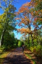 Man riding bicycle outdoors on path in colorful autumn color forest with sunshine in fall season