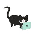 Cute black cat is typing on the mackBook Royalty Free Stock Photo