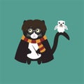 Cute cat Harry Potter. Fan art J.K. Rowling Royalty Free Stock Photo