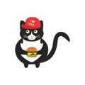 ute american black and white cat with a burger in a red cap `i love usa` Royalty Free Stock Photo