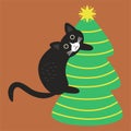 Crazy black cat climbed the Christmas tree