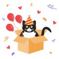 Cute black and white cat sitting in a cardboard box in a multi-colored cap with red balloons. Royalty Free Stock Photo