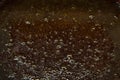 Vat of blackstrap molasses Royalty Free Stock Photo