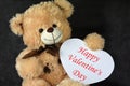 Vatentines day toy teddy bear with heart frame