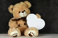 Vatentines day toy teddy bear with heart frame