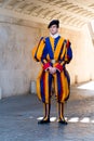 Soldier of the Pontifical Swiss Guard at the Vatican City