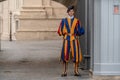 VATICAN CITY, ITALY - JUNE 8, 2018 : A member of the Pontifical Swiss Guard, Vatican. Rome