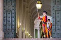 VATICAN CITY, ITALY - MARCH 1, 2014 : A member of the Pontifical Swiss Guard, Vatican.
