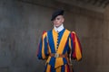 VATICAN CITY, VATICAN - SEPTEMBER 3: Famous Swiss Guard surveil basilica entrance on September 3, 2014 in Vatican. The Papal Guard