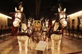Vatican horses