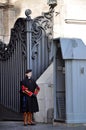 Vatican Swiss guard Royalty Free Stock Photo