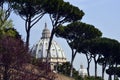 Vatican view with Saint Peter Basilica dome and beautiful Italian stone pines Royalty Free Stock Photo