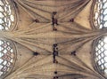 Vault Bosses of Saint-Pierre de Condom cathedral