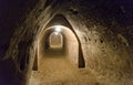 Vault corridor of a wine cellar