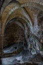 Vaulted archways of Chillon Castle dungeon Montreux Switzerland